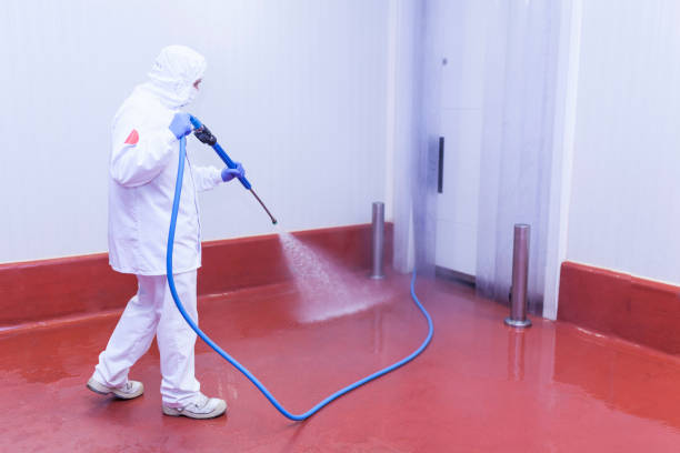 Professional Pressure Washing Services in South Hempstead, NY